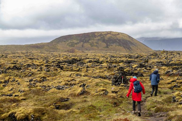 Comment choisir les meilleures chaussures pour la marche nordique sur terrain accidenté?